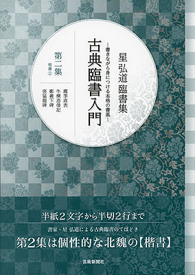 星 弘道 臨書集 古典臨書入門〈第2集〉楷書 (2) 薦季直表・牛ケツ造像記・鄭羲下碑・張猛龍碑