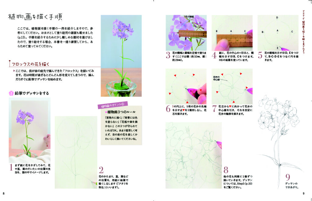描き込み式 やさしい植物画レッスン帖 透明水彩で描く 可憐な野の花