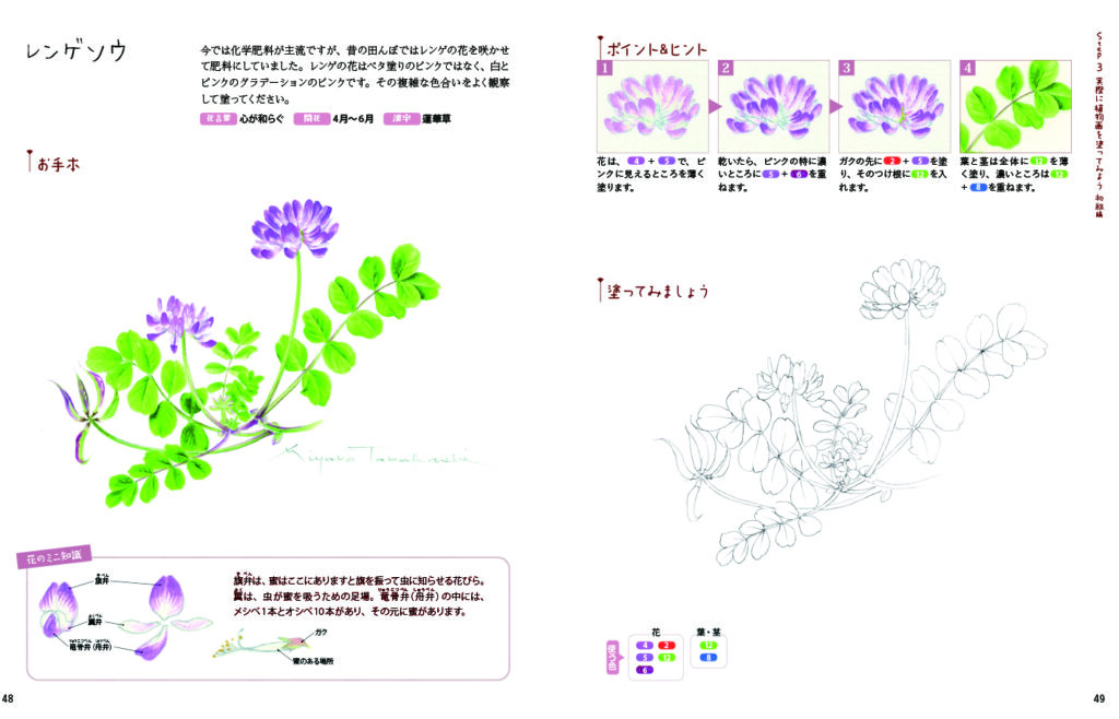 描き込み式 やさしい植物画レッスン帖 透明水彩で描く 可憐な野の花