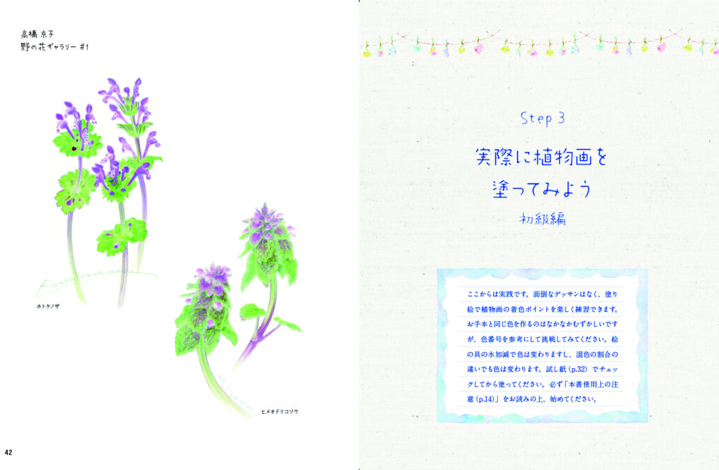 描き込み式 やさしい植物画レッスン帖 透明水彩で描く 可憐な野の花