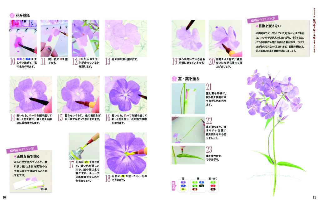 描き込み式 やさしい植物画レッスン帖 透明水彩で描く 可憐な野の花