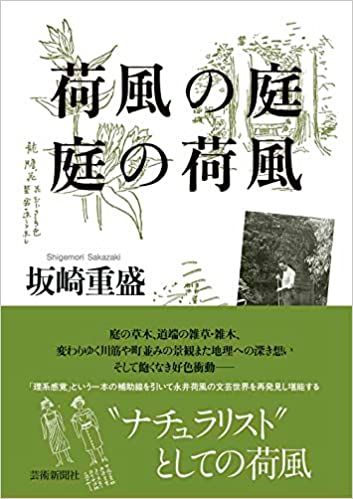 荷風の庭  庭の荷風