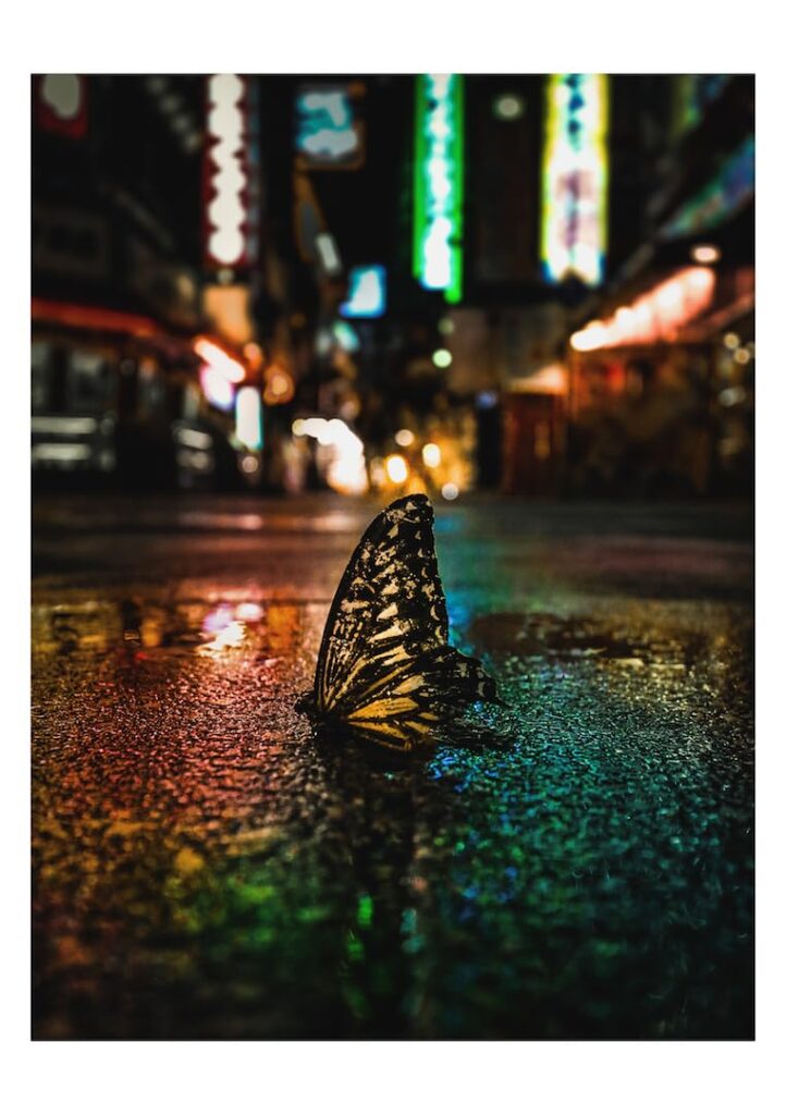 omi kim 写真作品集 Osaka Romantics